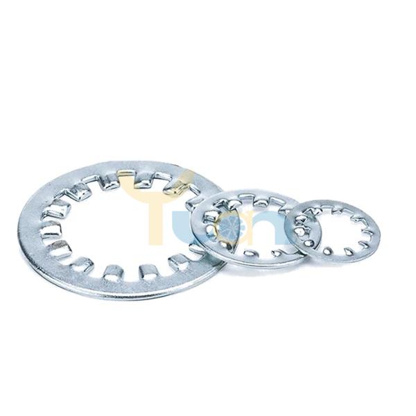 Internal Toothed Lock Washer (1)