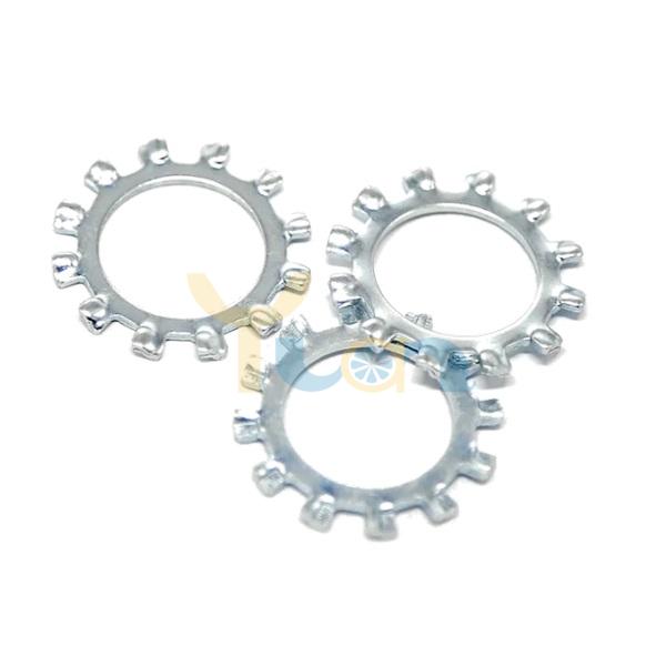 External Toothed Lock Washer (1)