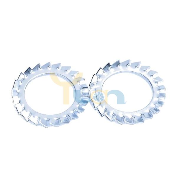 External Toothed Lock Washer (2)