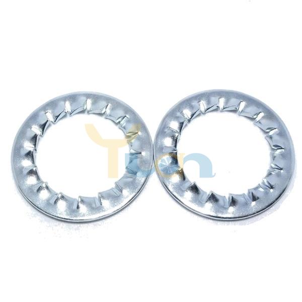 Internal Toothed Lock Washer (2)