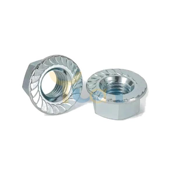 Hex Flange Nut