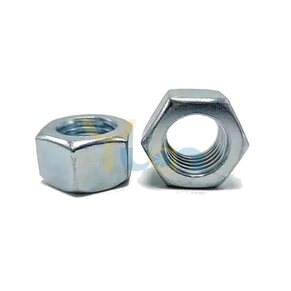 Hex Nut