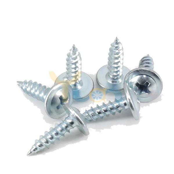 Modified Truss Head Screw, Sharp Point