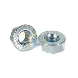 Hex Flange Nut