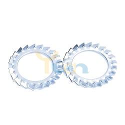 External Toothed Lock Washer (2)