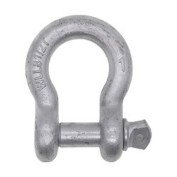 Screw Pin  Anchor Shackle US Type Drop Forged